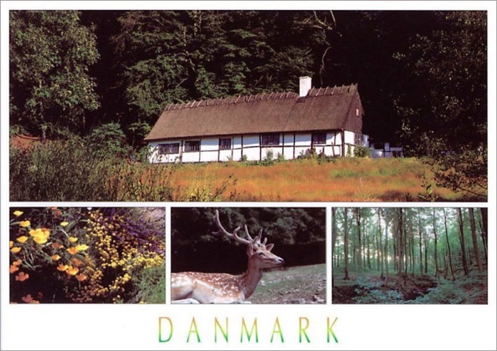 Loading Image